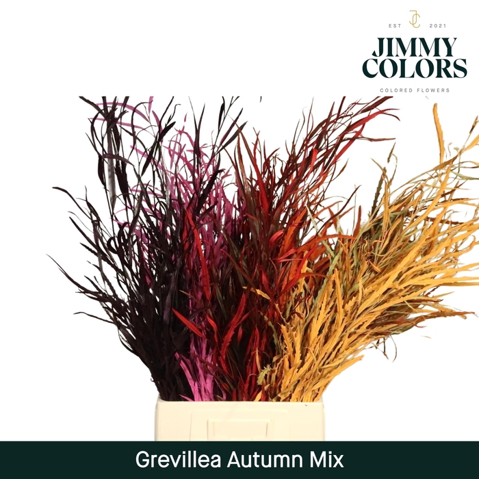 <h4>Grevillea (bunch) Autmn mix</h4>