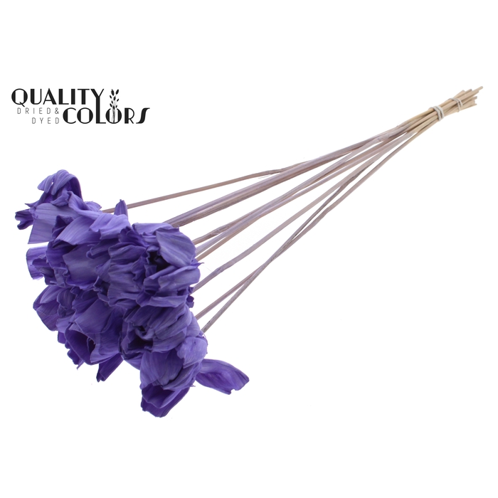 <h4>Shola Dear Holly 6cm on stem Milka</h4>