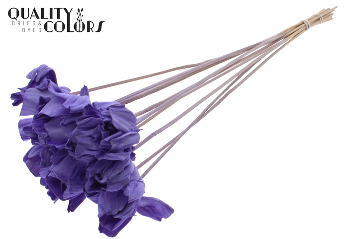 Shola Dear Holly 6cm on stem Milka