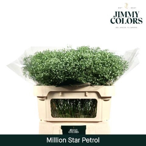 Gyps Million Star L70 Petrol