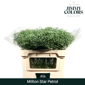 Gyps Million Star L70 Petrol