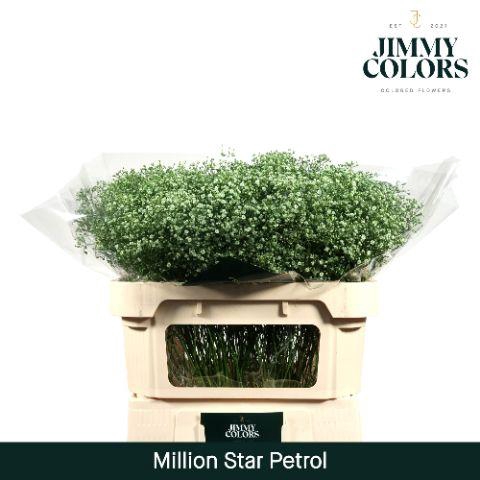 <h4>Gyps Million Star L70 Petrol</h4>