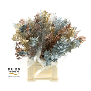 Dried Ruscus Aculeatus Metallic Mix