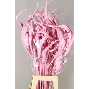 DF Strelitzia Leaf Light Pink