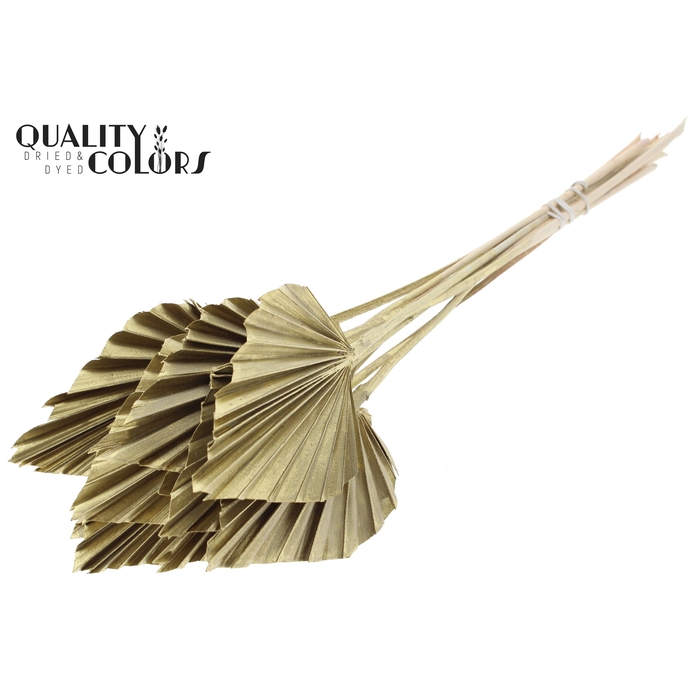 <h4>Palm Spear per stem Gold</h4>