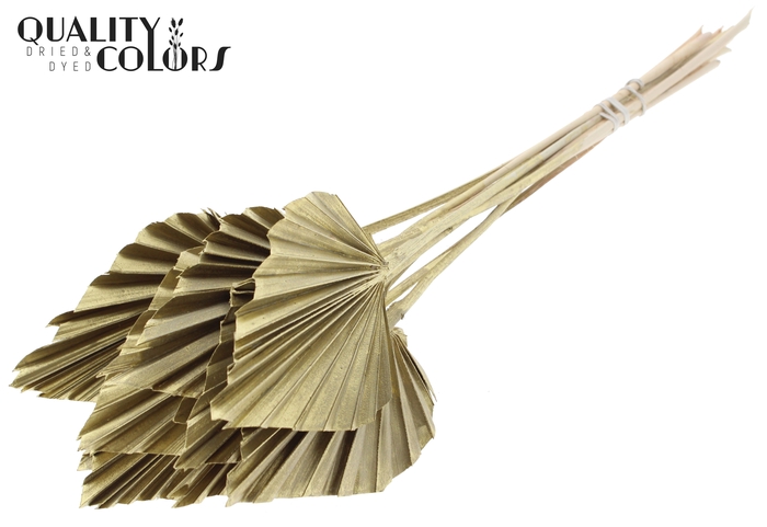 Palm Spear per stem Gold