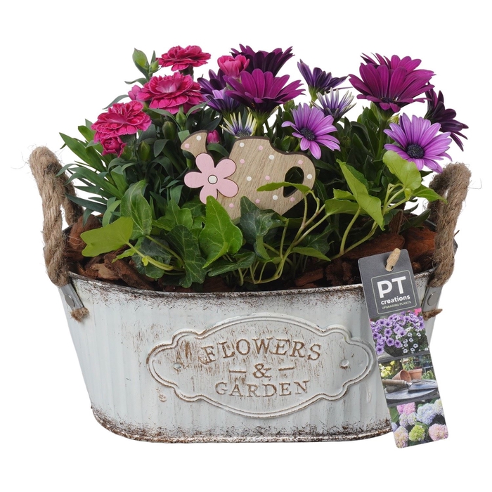 <h4>Arr.   Perkplanten L%</h4>