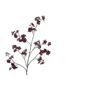 Cherry Blossom Burgundy