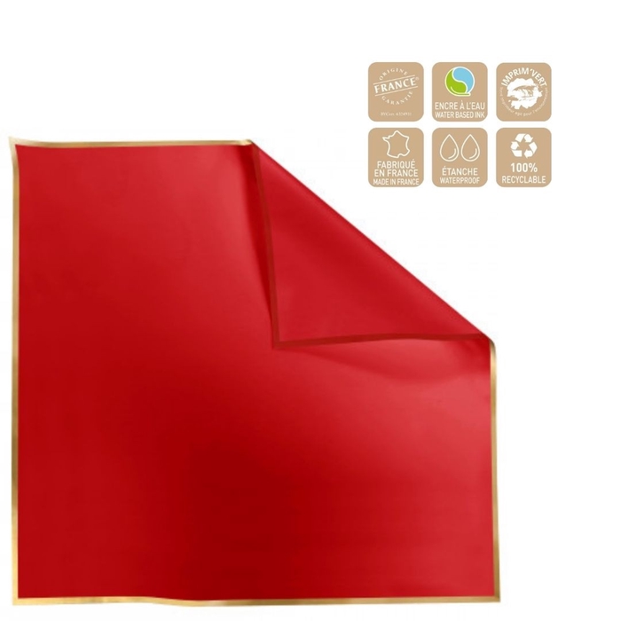 <h4>Cellophane Sheet 70*70cm Cachotier</h4>