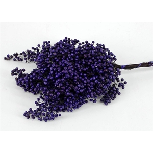 Schinus M.purple