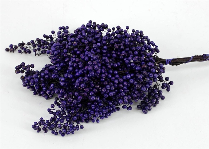 <h4>Schinus M.purple</h4>