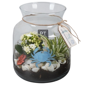 Arr.   Planten L%