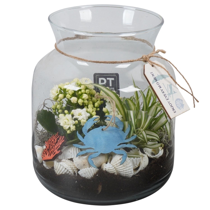 <h4>Arr.   Planten L%</h4>