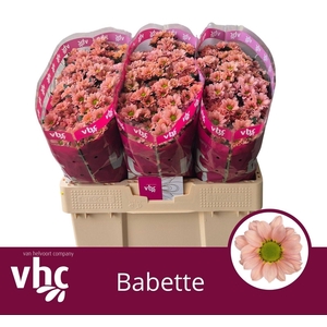 CHR S BABETTE