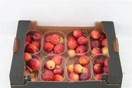 <h4>MALUS PER BAK OV</h4>