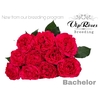 R GR BACHELOR x20