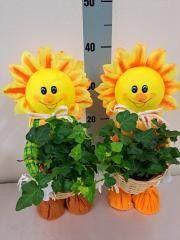 <h4>Zonpop middel</h4>