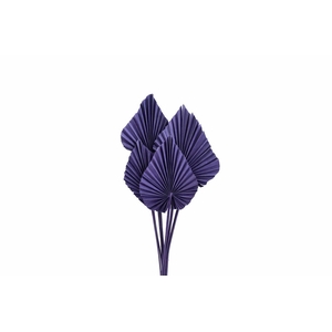 Dried Palm Spear 10pc Milka Bunch Slv