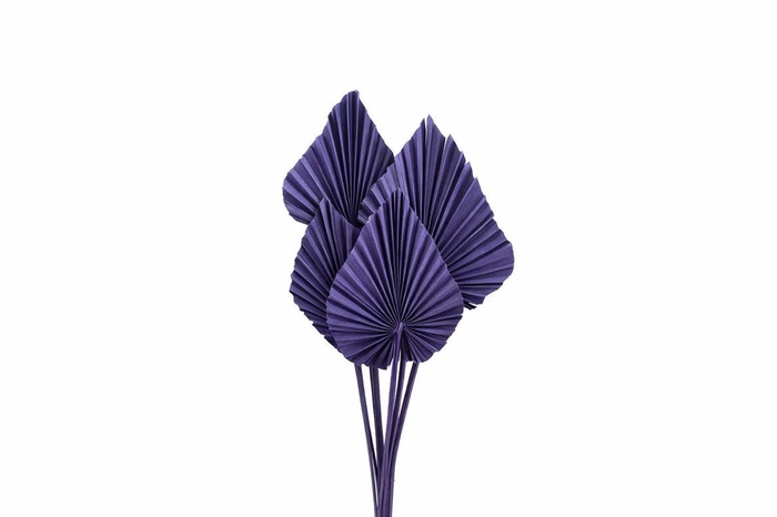 <h4>Dried Palm Spear 10pc Milka Bunch Slv</h4>
