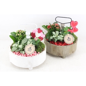 Arr2 Pl - Etagere Rond - Roze/rood