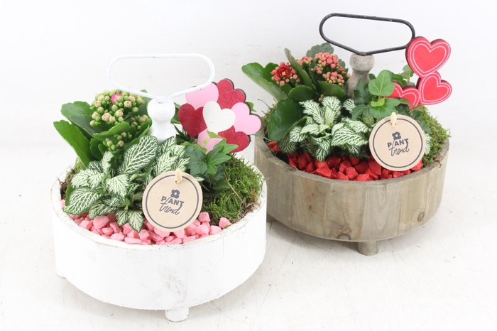 Arr2 Pl - Etagere Rond - Roze/rood