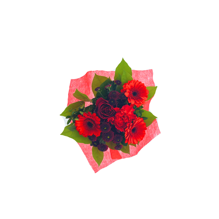 <h4>BQ Shorties Red</h4>
