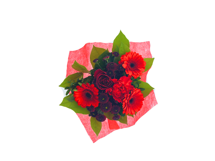 BQ Shorties Red