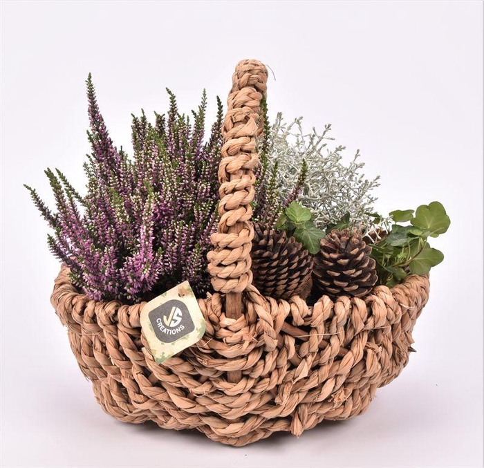 <h4>Touw hengselmand ovaal 27x22 cm</h4>