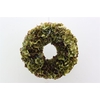 Wr Hydrangea Dried 35cm