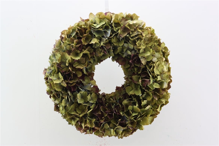 <h4>Wr Hydrangea Dried 35cm</h4>