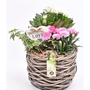 Wilg mand grijs 18cm