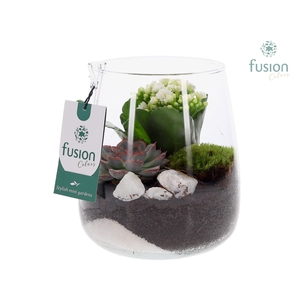 Glazen vaas met Kalanchoe en Succulent