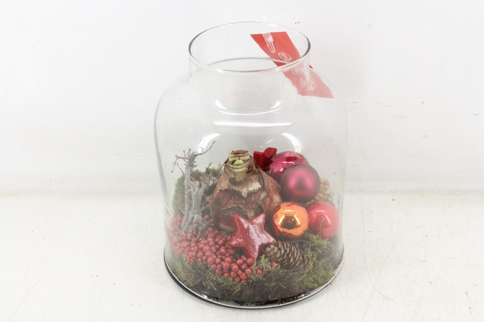 <h4>arr4 Amaryllis MB - Glas Venice rood</h4>