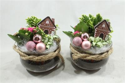 <h4>3530 ROZE BOSE X6</h4>