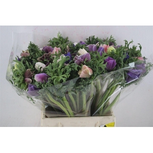 Anem Mistral Super Mix