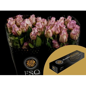 R GR Mignon Box