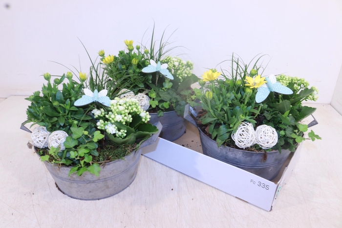 <h4>ARR TUINPLANTEN</h4>