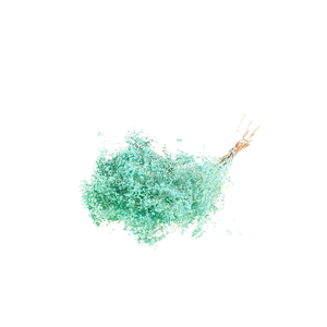 Broom Bloom Bunch Blue Aqua