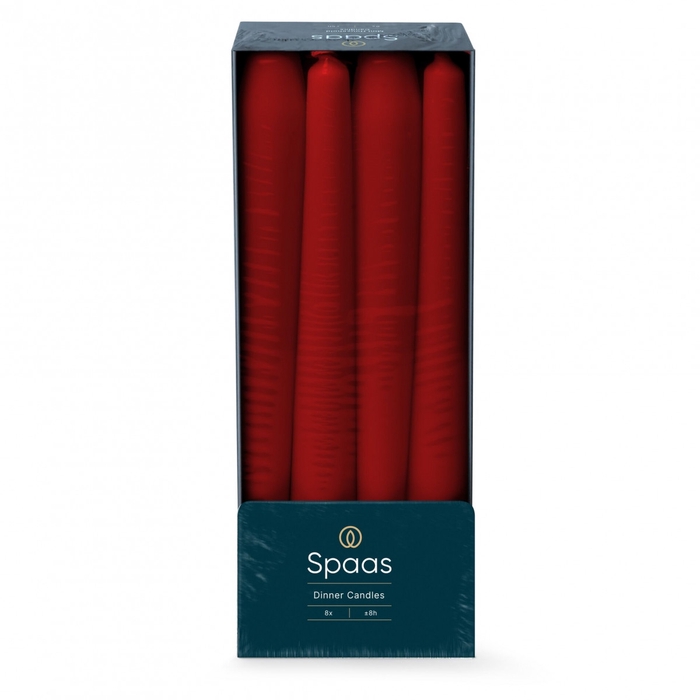 <h4>Kaars Gotisch d2.3*25cm</h4>