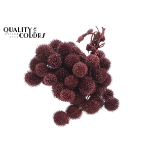 Small ball per bunch in poly Burgundy + Glitter