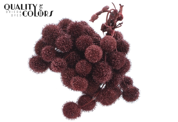 Small ball per bunch in poly Burgundy + Glitter
