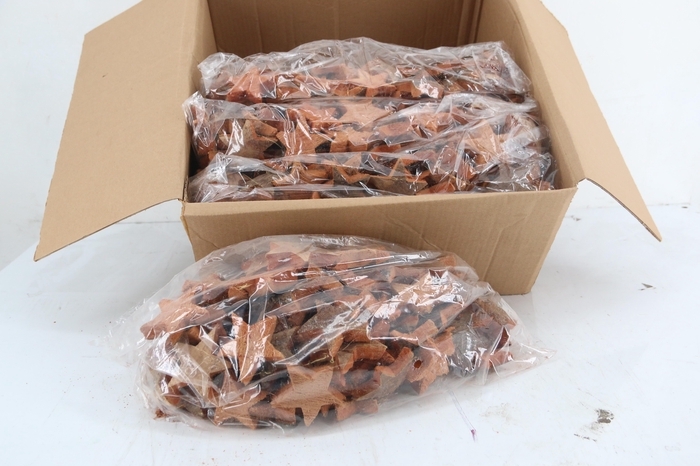 <h4>Cocos Star XL 7cm Natural(100pcs)</h4>