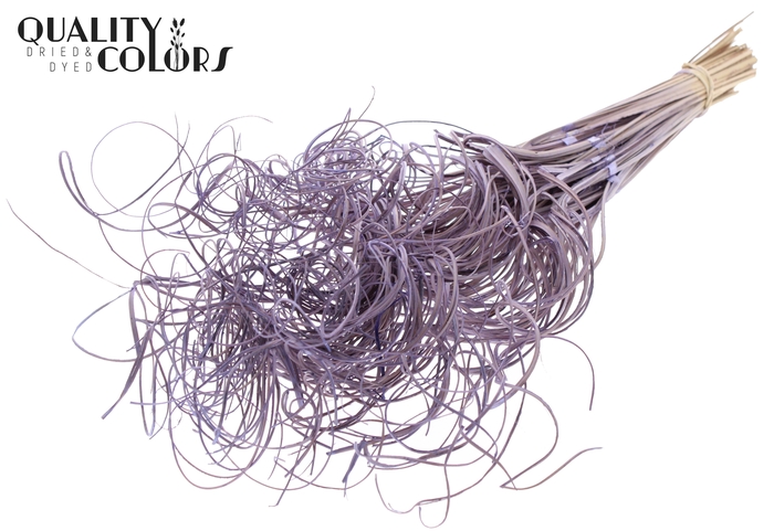 Palm Curly TT 3pc/tuft - 33 tuft/bunch Frosted Milka