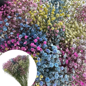 Gyps Xlence Supreme Rainbow 40gr