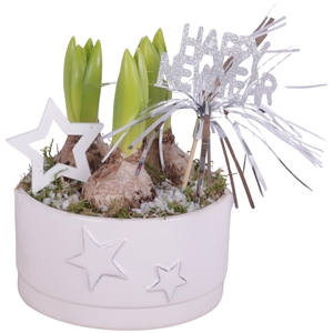 New Year Arr. Hyacint Ceramic Pot Round Star Relief Ø15cm 3PP