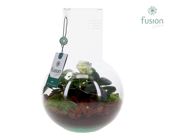 <h4>Green Bottle Suzanne Medium met Helleborus</h4>