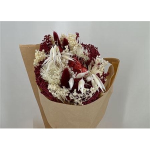 Dr Bqt Bleach Small Burgundy