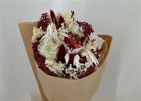 Dr Bqt Bleach Small Burgundy