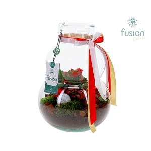 Green Bottle Olaf Medium met Kerst arrangement
