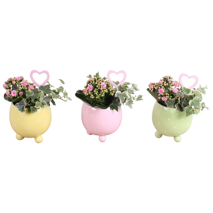 <h4>Mothersday Arr. Indoor Ceramic Ball Pot Dots Ø14cm 2PP</h4>